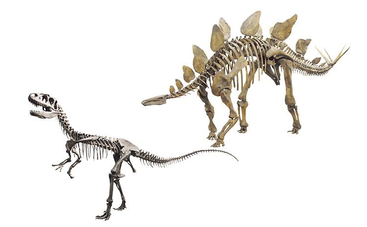 アロサウルスとステゴサウルス