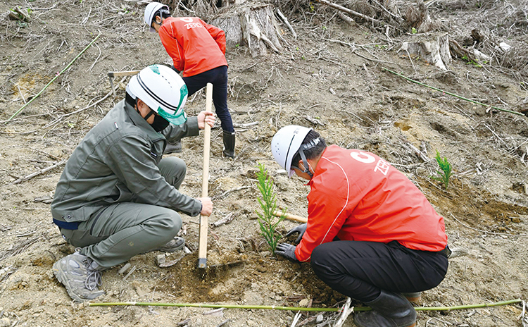 今年4月、使用する木材の産地である宮崎県にゼロ・コーポレーションの社員が訪れ、スギの苗木を植えました。このスギが新たに豊かな森林をつくり、ゼロホームの家として生まれ変わります。