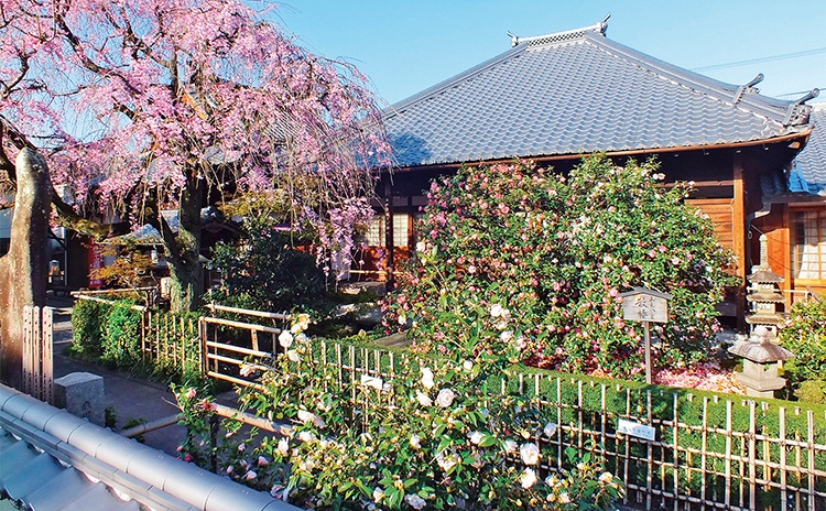 通称で親しまれる 京都の通称寺