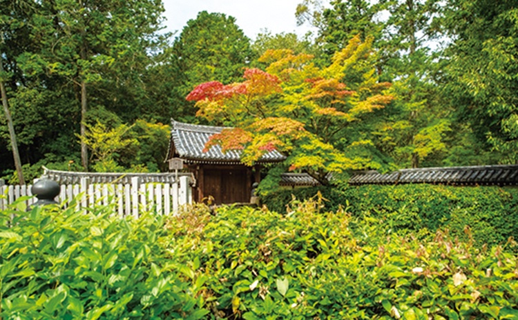 夜カルステーション『京都の庭の楽しみ方』