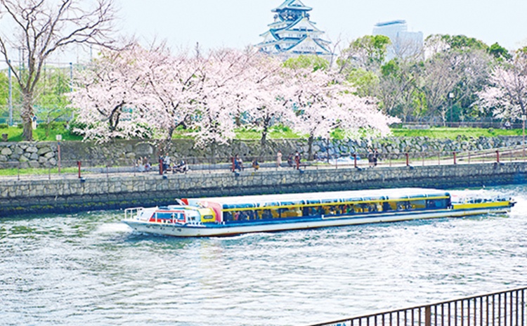 船上から桜を存分に楽しむお花見クルーズ【大阪】