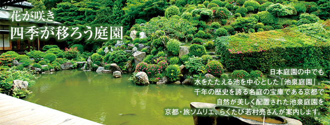 [花が咲き四季が移ろう庭園]日本庭園の中でも水をたたえる池を中心とした「池泉庭園」。千年の歴史を誇る名庭の宝庫である京都で自然が美しく配置された池泉庭園を京都・旅ソムリエ、らくたび若村亮さんが案内します。
