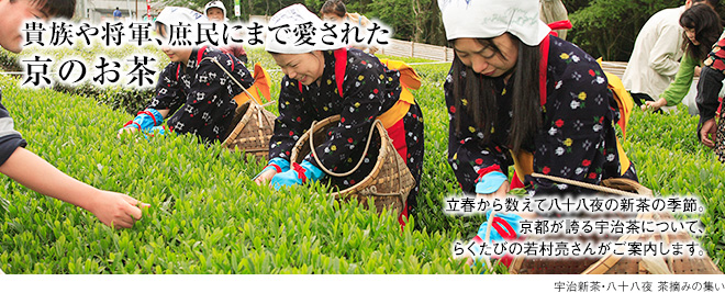 [貴族や将軍、庶民にまで愛された京のお茶]立春から数えて八十八夜の新茶の季節。京都が誇る宇治茶について、らくたびの若村亮さんがご案内します。宇治新茶・八十八夜 茶摘みの集い