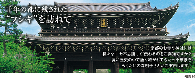 ［千の都に残された'フシギ'を訪ねて］京都のお寺や神社には様々な「七不思議」が伝わるのをご存じですか？長い歴史の中で語り継がれてきた七不思議をらくたびの森明子さんがご案内します。
