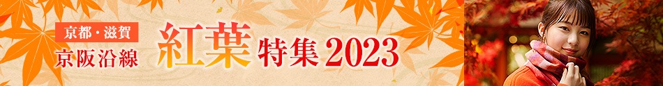 京都・滋賀 京阪沿線の紅葉特集2023