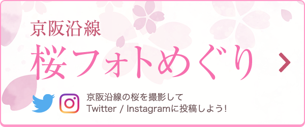 京阪沿線 桜フォトめぐり 京阪沿線の桜を撮影してTwitter/Instagramから応募しよう！