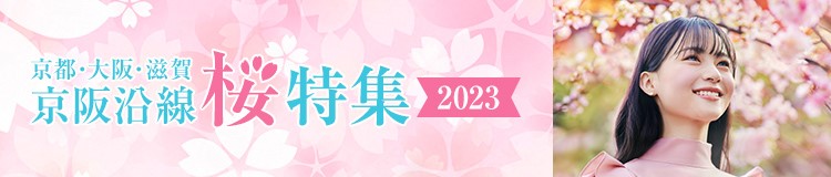 京都・大阪・滋賀 京阪沿線桜特集2023