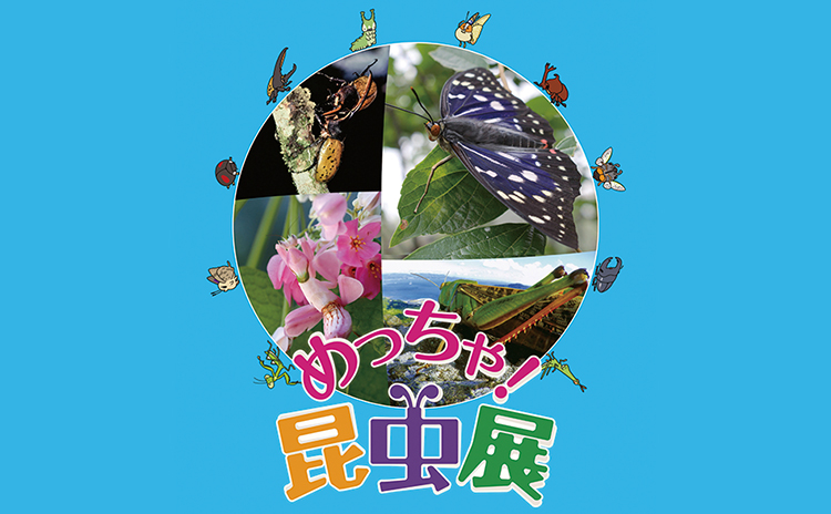 春のひらパーで昆虫の世界に飛び込もう「めっちゃ！昆虫展」【大阪】