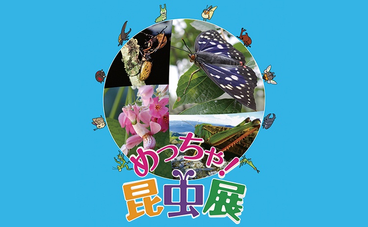 ひらパーで楽しむ昆虫の世界「めっちゃ！昆虫展」【大阪】