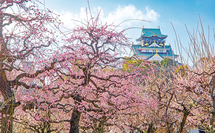 京都・大阪・滋賀の梅の名所15カ所をご紹介。スマホで撮影するコツも！