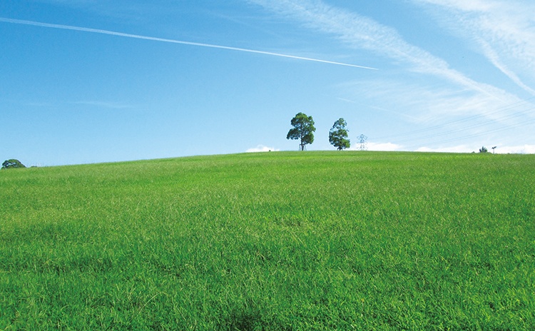 芝生の緑と秋空の青が広がり、爽快感抜群の芝生の丘。思いっきり走り回れます
