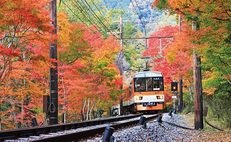 色とりどりの紅葉！叡山電車に乗って秋を目いっぱい楽しもう！【京都】