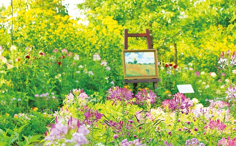 比叡山山頂で花々とアートを満喫【京都】