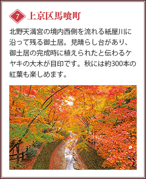 [上京区馬喰町]北野天満宮の境内西側を流れる紙屋川に沿って残る御土居。見晴らし台があり、御土居の完成時に植えられたと伝わるケヤキの大木が目印です。秋には約300本の紅葉も楽しめます。