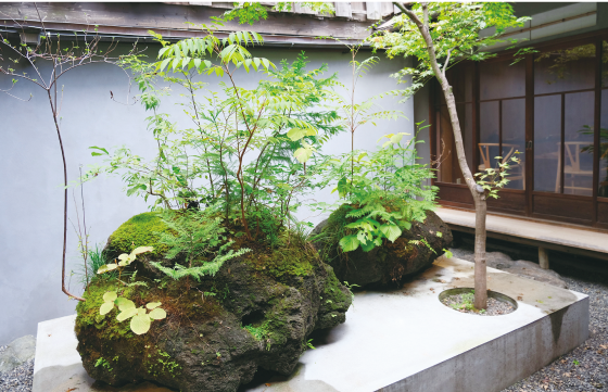 近代的に改修された京町家の坪庭