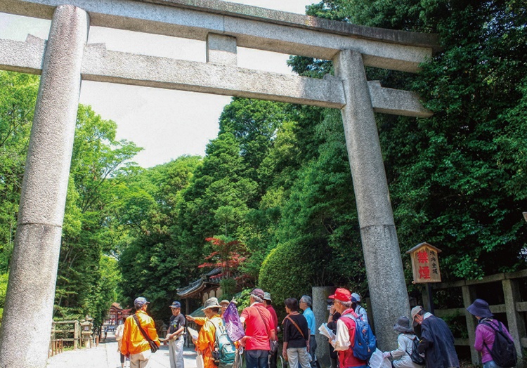 八幡で巡る「鎌倉」ガイドツアー
