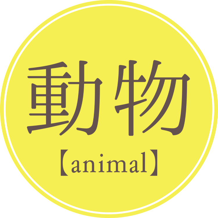 動物【animal】