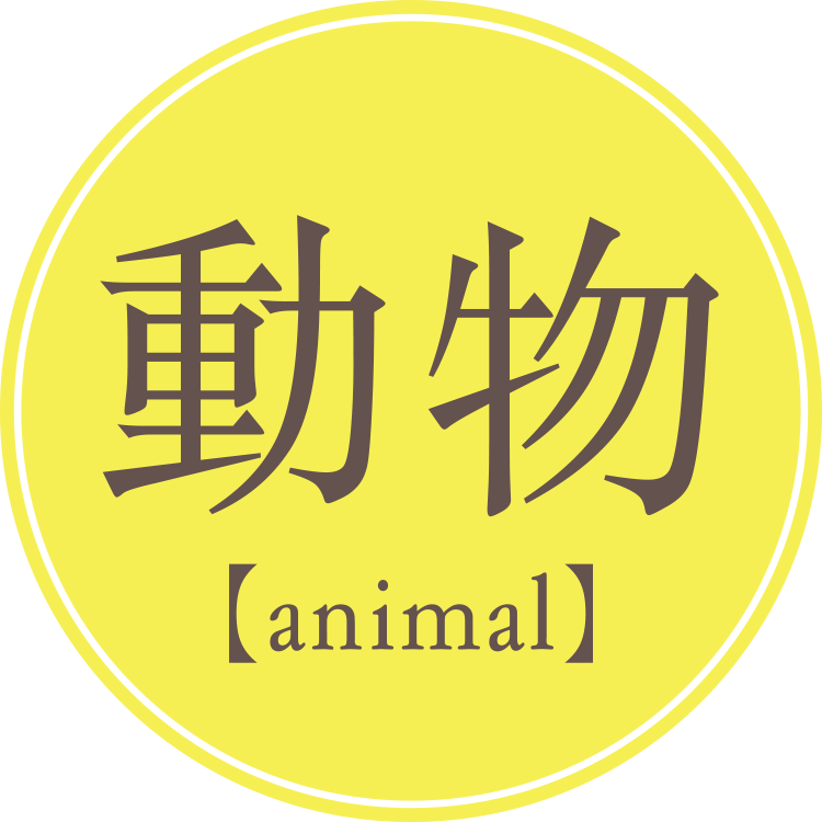 動物【animal】