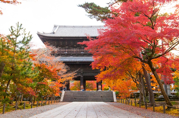 京都の四季