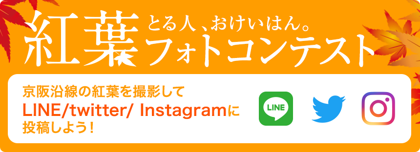 紅葉とる人、おけいはん。フォトコンテスト　京阪沿線の紅葉を撮影してLINE/twitter/instagramに投稿しよう！