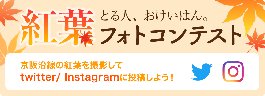 紅葉とる人、おけいはん。フォトコンテスト | 京阪沿線の紅葉を撮影してTwitter、Instagramに投稿しよう！