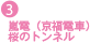 嵐電（京福電車）桜のトンネル