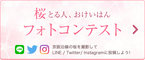桜とる人、おけいはん フォトコンテスト 京阪沿線の桜を撮影してtwitter/Instagramから応募しよう！